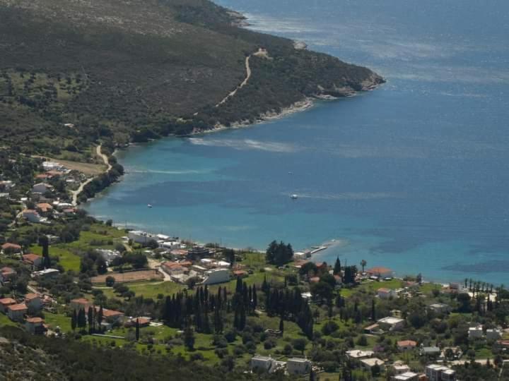 Apartment Asteria House *