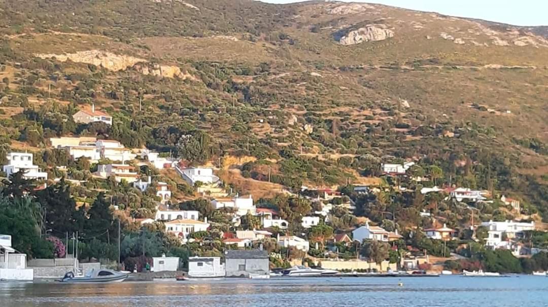 Asteria House