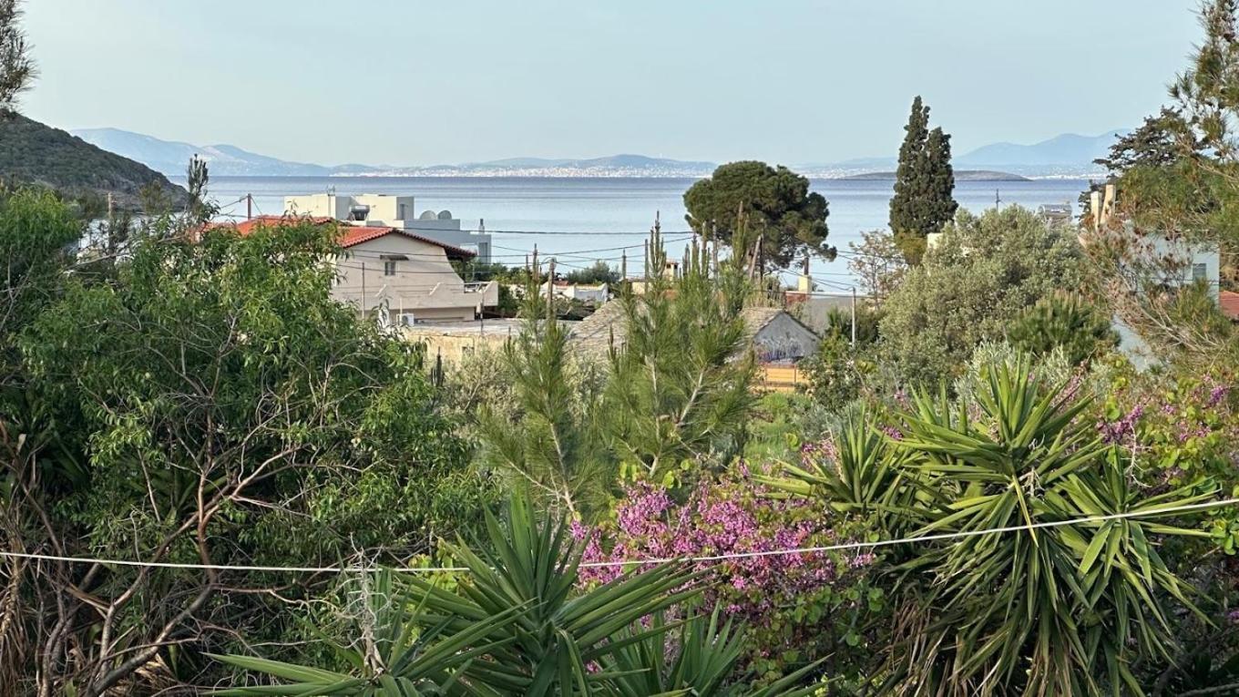 Asteria House Apartment